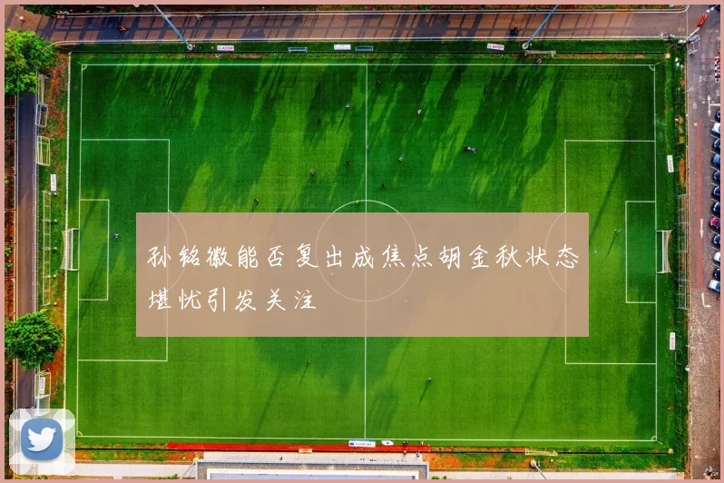 孙铭徽能否复出成焦点胡金秋状态堪忧引发关注