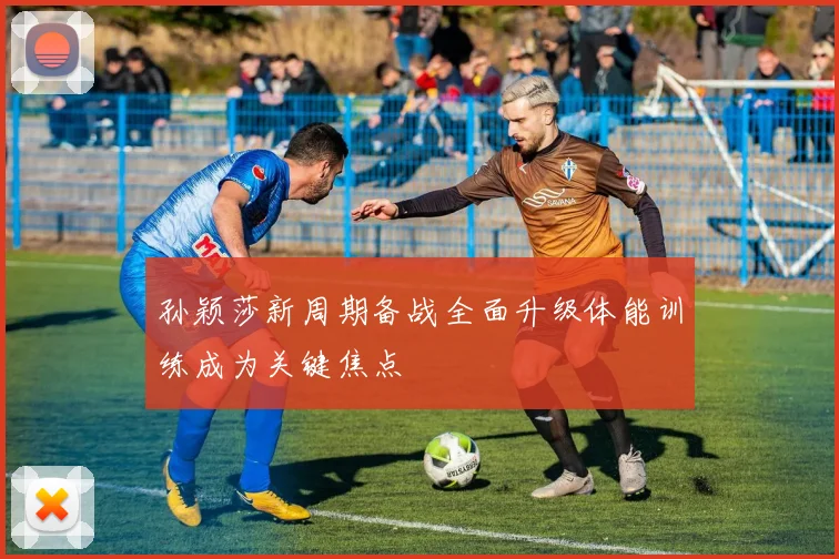 孙颖莎新周期备战全面升级体能训练成为关键焦点